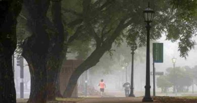 Clima de finde en la ciudad: Rosario tendrá dias frescos, estables y con neblinas