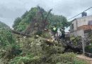 Lo que dejó la tormenta en Rosario: ráfagas de 68 km/h y caída de alrededor de 30 milímetros de lluvia