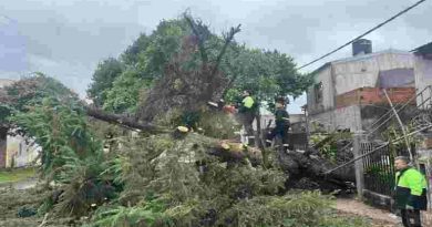 Lo que dejó la tormenta en Rosario: ráfagas de 68 km/h y caída de alrededor de 30 milímetros de lluvia