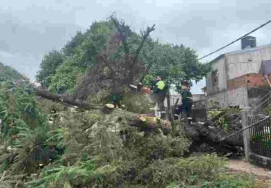 Lo que dejó la tormenta en Rosario: ráfagas de 68 km/h y caída de alrededor de 30 milímetros de lluvia
