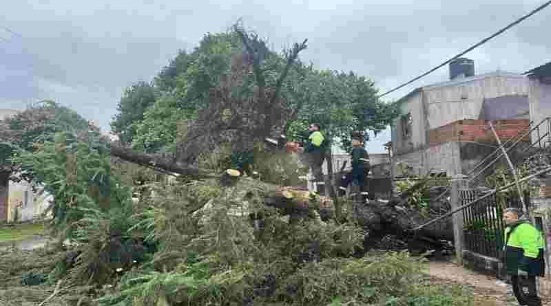 Lo que dejó la tormenta en Rosario: ráfagas de 68 km/h y caída de alrededor de 30 milímetros de lluvia