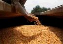 El Gobierno lanza nuevo protocolo sobre la propiedad de semillas y prevé un salto exportador de US$4.000 millones