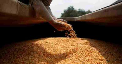 Hubo un fuerte crecimiento de la actividad agropecuaria en mayo según la Bolsa de Comercio de Rosario