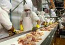 Alimentación cerró una suba en mayo para el sector de procesamiento de aves