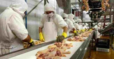 Alimentación cerró una suba en mayo para el sector de procesamiento de aves