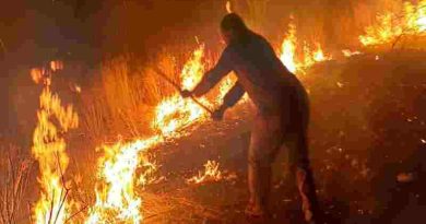 España registra incendios forestales en medio de la ola de calor