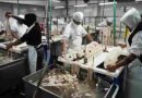 Frigorifico Euro: arrancó la puesta en marcha por voluntad de sus trabajadores, apoyo gremial y negociaciones con privados