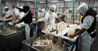 Frigorifico Euro: arrancó la puesta en marcha por voluntad de sus trabajadores, apoyo gremial y negociaciones con privados