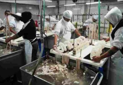 Frigorifico Euro: arrancó la puesta en marcha por voluntad de sus trabajadores, apoyo gremial y negociaciones con privados