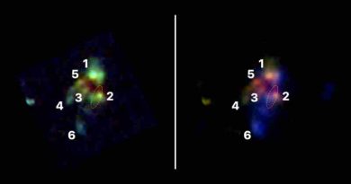 Científicos lograron observar cómo se fusionaron las galaxias más masivas del Universo