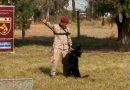 La Policía de Santa Fe realizó el primer Curso Nacional de Guías de Canes de Seguridad