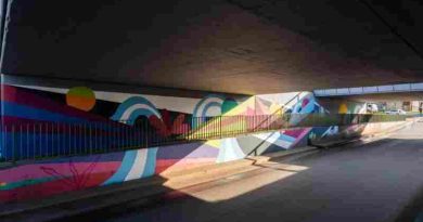 “Rosario Pinta a Rosario”: artistas locales intervienen puentes en avenida Circunvalación