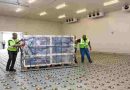 Sudáfrica vacuna a casi 4,4 millones de cabezas de ganado contra la fiebre aftosa