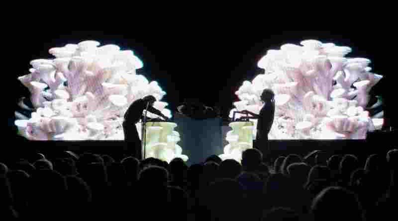 Biópera 3D: una propuesta inmersiva que combina arte sonoro, interactivo y live cinema llega al fulldome del CAM