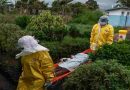 Alarma mundial en el Congo: el brote de ébola ya causó 648 muertes y 1.830 casos