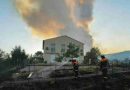 Francia: incendio forestal arrasa con el bosque de Fontainebleau