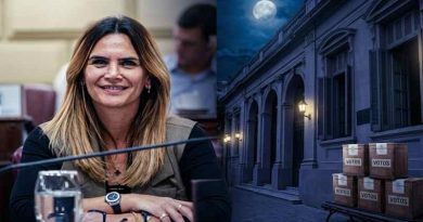 La dama del enigma: Amalia Granata y el arte de quitarle el sueño al poder