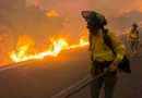 Jujuy: el viento Zonda, con ráfagas inéditas en 30 años, causó destrozos e incendios