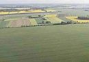 “¡No pasarán!”: Pueblos indígenas cruzan la ley del Gobierno por la venta de tierras y advierten sobre un “despojo nacional”