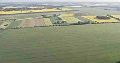 “¡No pasarán!”: Pueblos indígenas cruzan la ley del Gobierno por la venta de tierras y advierten sobre un “despojo nacional”