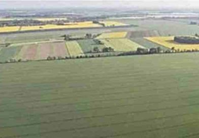 “¡No pasarán!”: Pueblos indígenas cruzan la ley del Gobierno por la venta de tierras y advierten sobre un “despojo nacional”