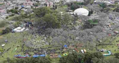 Festival ReDi: 50 mil personas celebraron el Día de las Infancias en el Parque Urquiza