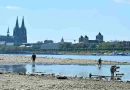 Alemania sufrió 14.000 muertes por calor y superó el récord histórico de 2018