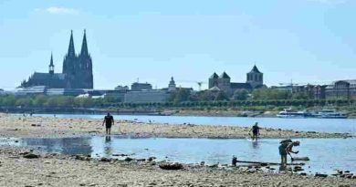 Alemania sufrió 14.000 muertes por calor y superó el récord histórico de 2018