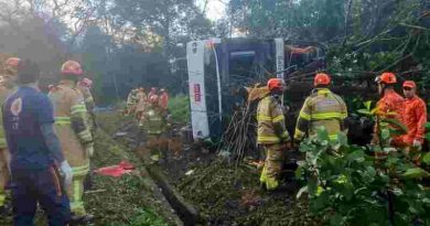Brasil: volcó un micro turístico en Petrópolis y murieron al menos 10 personas