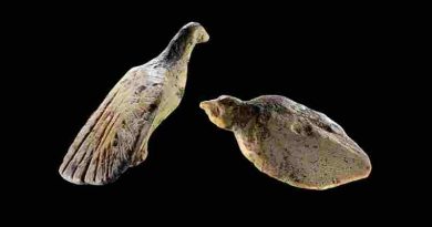 Inédito: hallan figuras talladas en un diente de mamut de 40.000 años en una cueva de Alemania