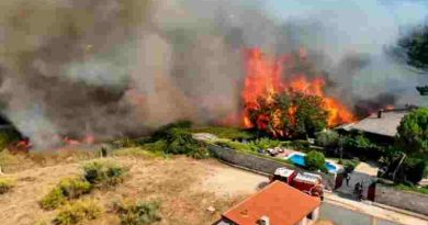 España: el país sufrió pérdidas de más de 240.000 hectáreas por los incendios forestales