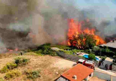 España: el país sufrió pérdidas de más de 240.000 hectáreas por los incendios forestales