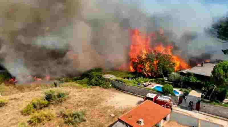 España: el país sufrió pérdidas de más de 240.000 hectáreas por los incendios forestales