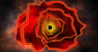 Descubren la primera “estrella agujero negro” del universo: en qué consiste