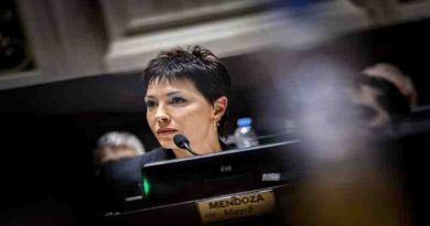 Mayra Mendoza destacó la media sanción de la Ley Ema para prevenir la violencia digital