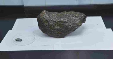 Guardó durante mucho tiempo en un estante una roca que resultó ser un meteorito de 4.600 millones de años