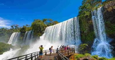 Por qué se celebra el 24 de agosto el “Día Mundial de los Parques Nacionales”