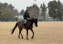 El Jockey Club Rosario se prepara para recibir las tres disciplinas ecuestres de los Juegos Suramericanos