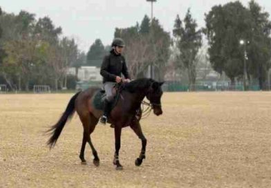 El Jockey Club Rosario se prepara para recibir las tres disciplinas ecuestres de los Juegos Suramericanos