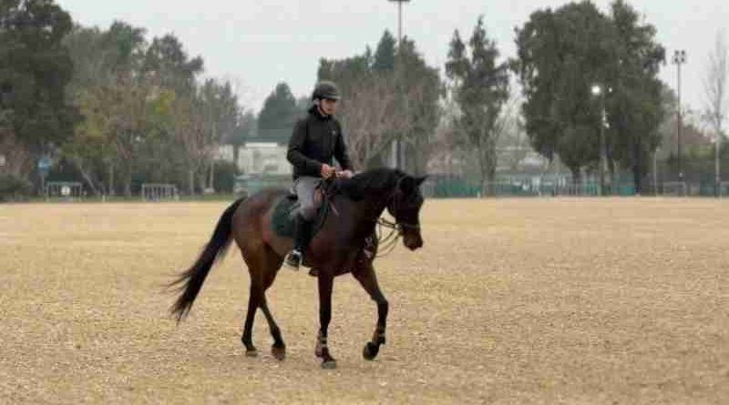 El Jockey Club Rosario se prepara para recibir las tres disciplinas ecuestres de los Juegos Suramericanos