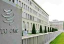 OMC advierte que el debilitamiento de normas comerciales reduciría el PIB mundial hasta en un 10 %