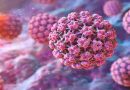 VPH: se estima que 8 de cada 10 personas lo contraerán alguna vez en su vida