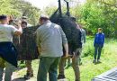 Rescatan a un aguará guazú en Rosario y activan el protocolo de protección de especies amenazadas