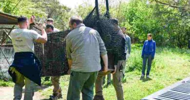 Rescatan a un aguará guazú en Rosario y activan el protocolo de protección de especies amenazadas