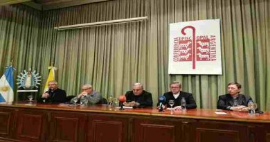 Conferencia Episcopal Argentina: la Iglesia pidió “evitar poner a León XIV en uno u otro lado de la grieta”