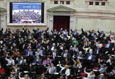 Diputados: la oposición logró aprobar sin sobresaltos su plan de trabajo sobre emergencia en Discapacidad y morosidad