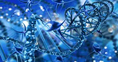 La odisea diagnóstica pediátrica: familias pasan hasta una década sin saber que sus hijos tienen una genodermatosis