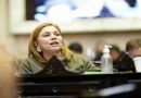 Ley de Zona Fría: Banfi cruzó a Vischi y lamentó el debate