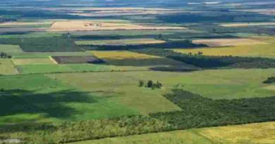La Corte revocó el fallo que declaraba inconstitucional la derogación de la Ley de Tierras