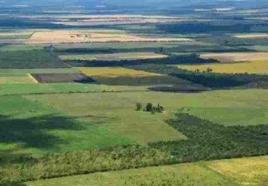 La Corte revocó el fallo que declaraba inconstitucional la derogación de la Ley de Tierras